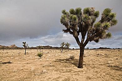 《不朽者传奇》中文发售宣传片 高能战斗