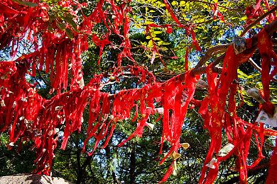 “SEGA 三月精选促销”活动火热进行中！《索尼克 起源・PLUS》及《光明之响》等作品加入促销阵容